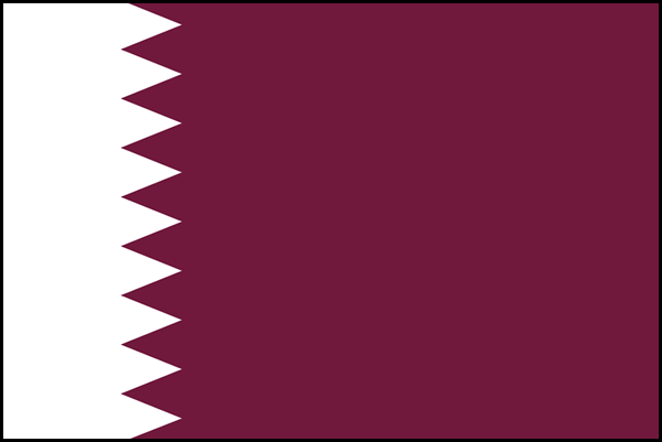 カタール国旗改
