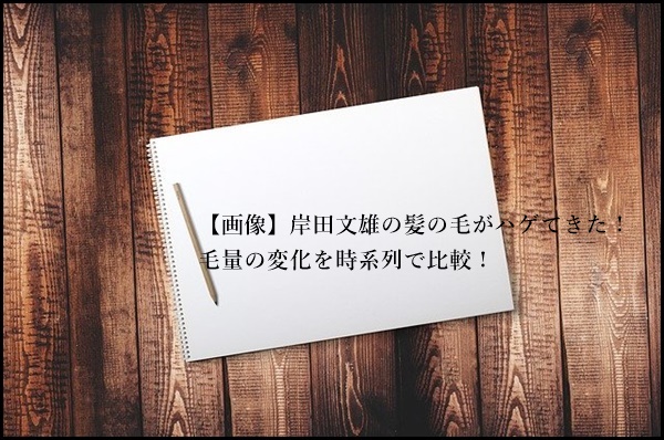 【画像】岸田文雄の髪の毛がハゲてきた！毛量の変化を時系列で比較